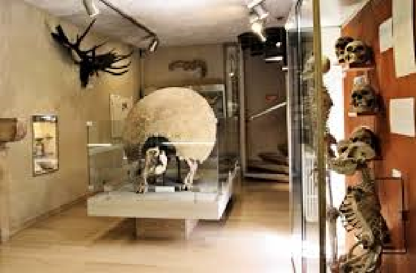 museum-dijon-600x395