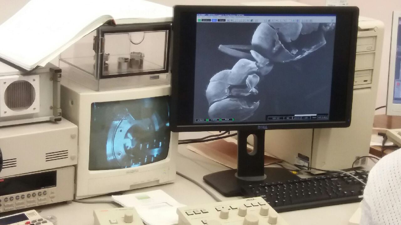 20190430_112152