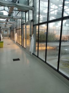 serre OGM2