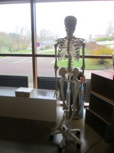 IMG_0139