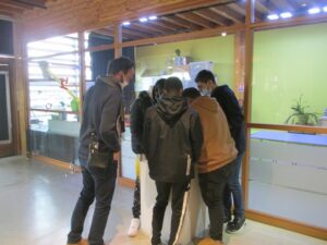 IMG_0141