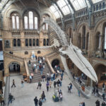 Voyage Angleterre 2024 (7)